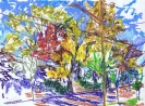 New York :: Martine Dohy