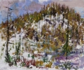 Daniel Fisher_4